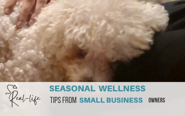 A fluffy white dog (a bichon frise) is cuddled up next to a person. Text on the image reads: "Real-life Seasonal Wellness Tips from Small Business Owners.